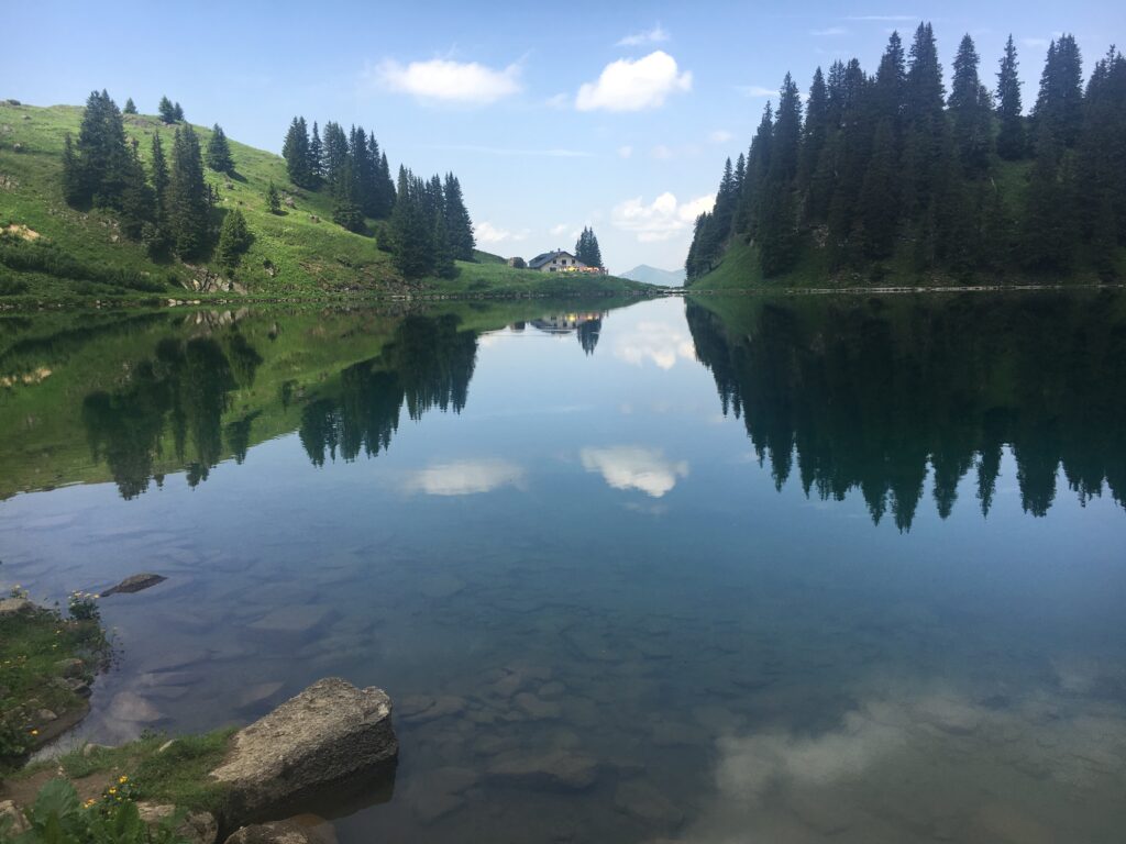 Img 3424 1024x768